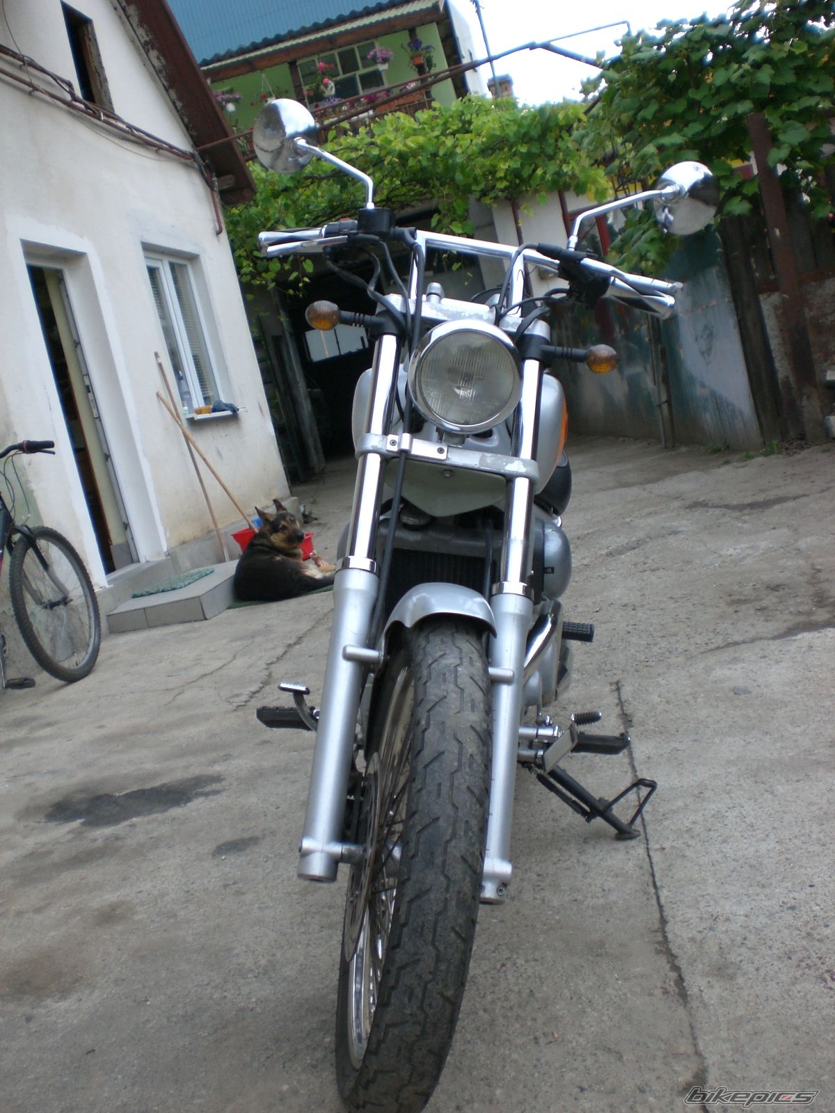 Photo 1313192