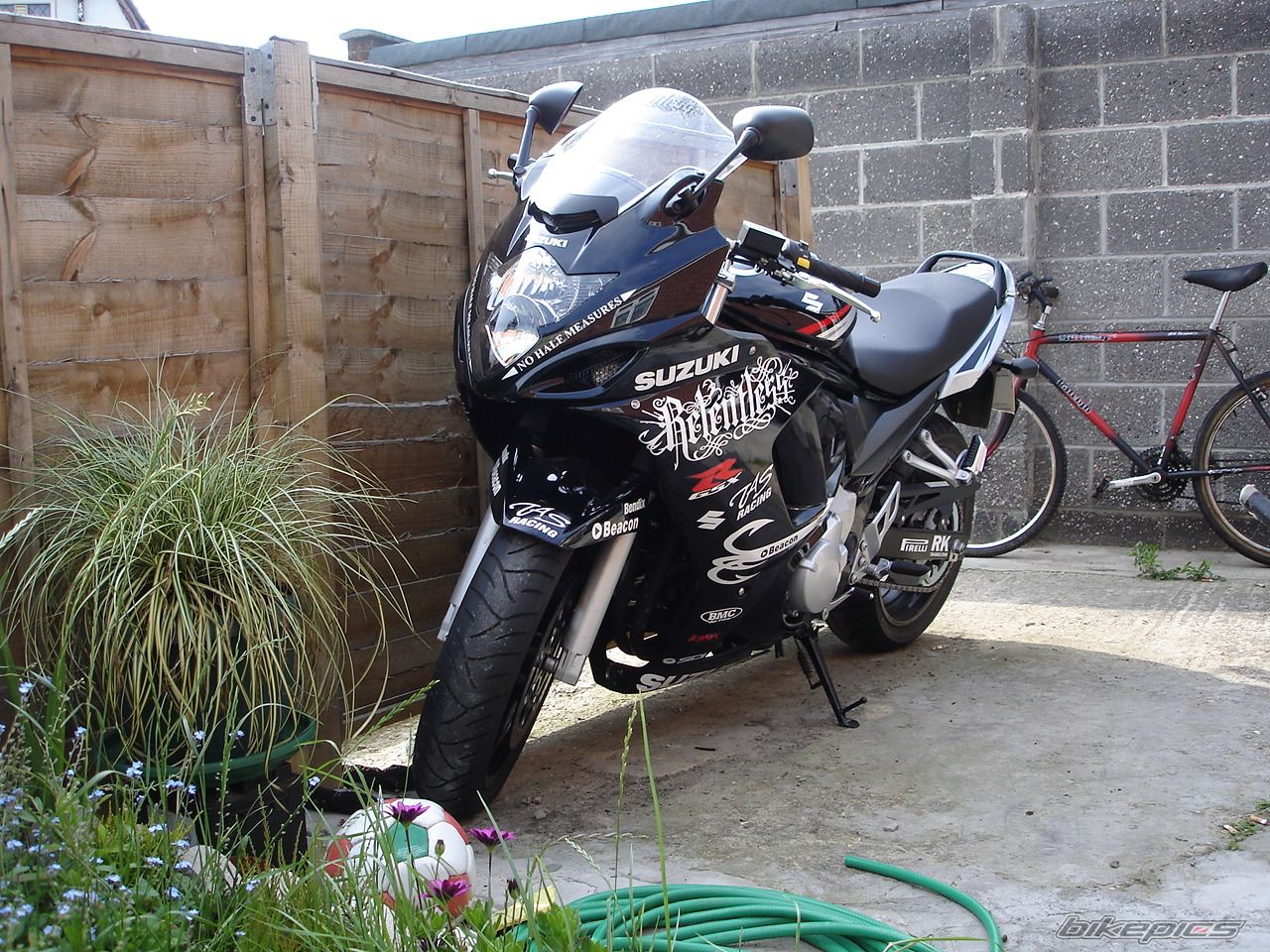 Photo 1313216