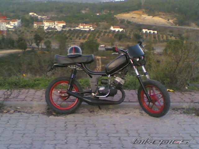 Photo 1313225