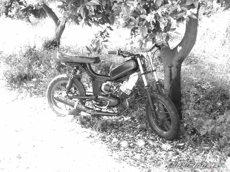 Photo 1313232