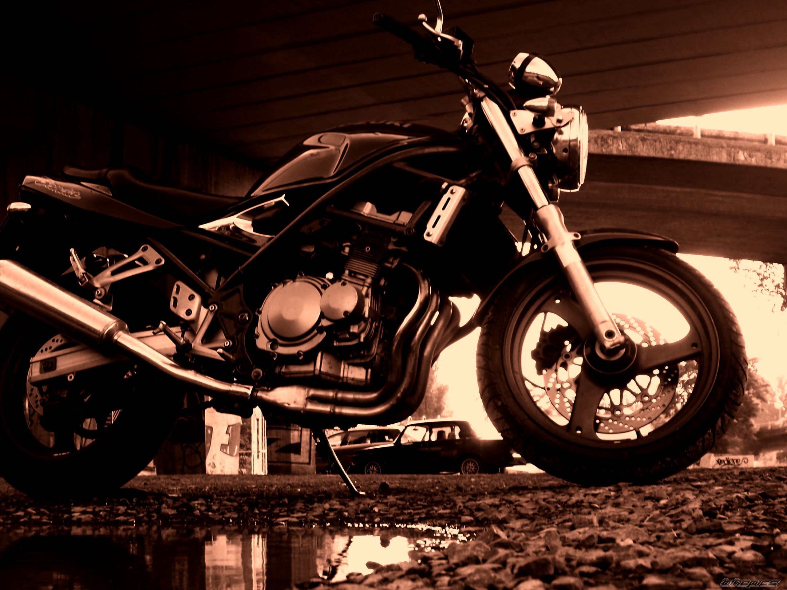 Bike Photo 1313252