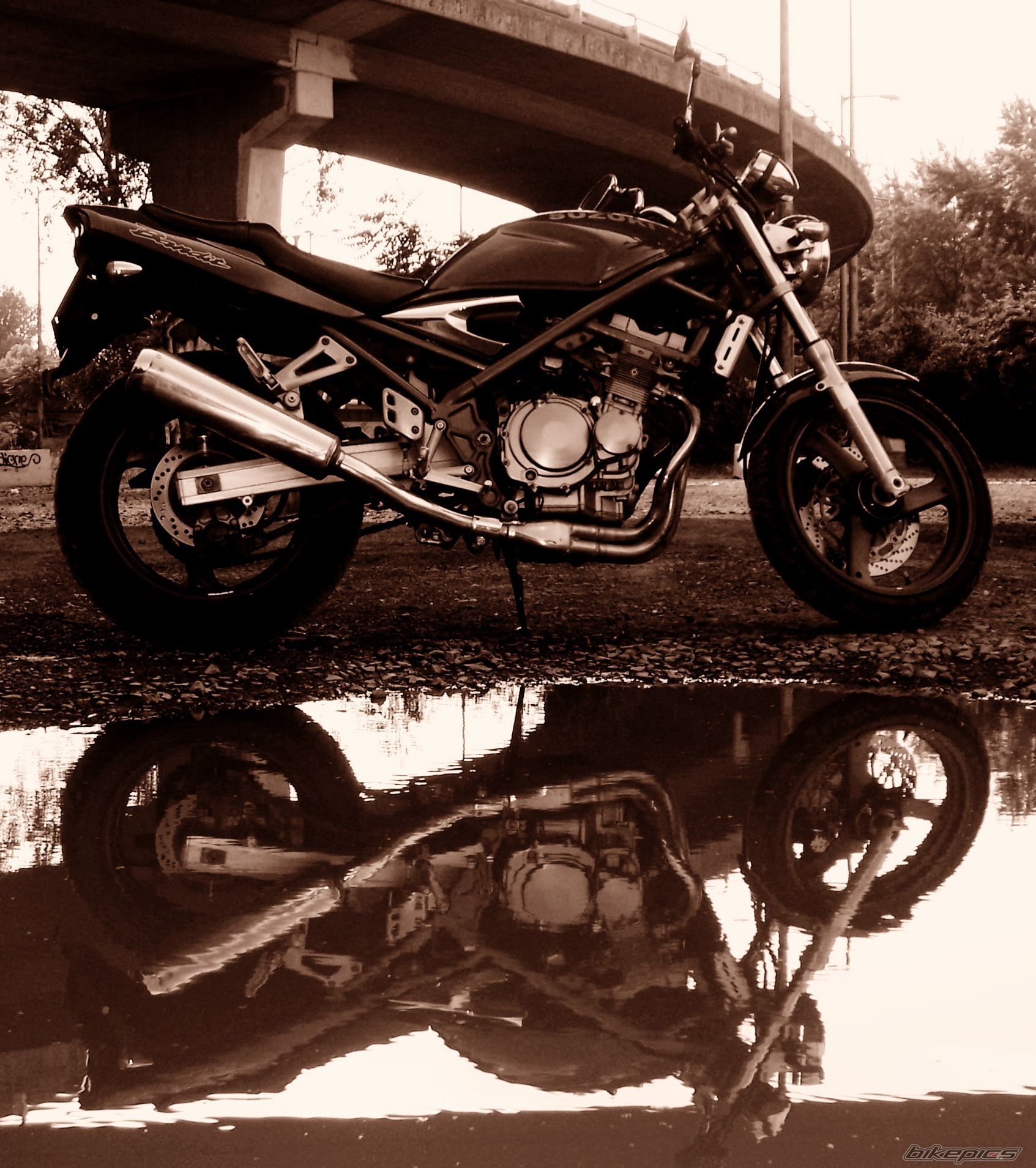 Bike Photo 1313257