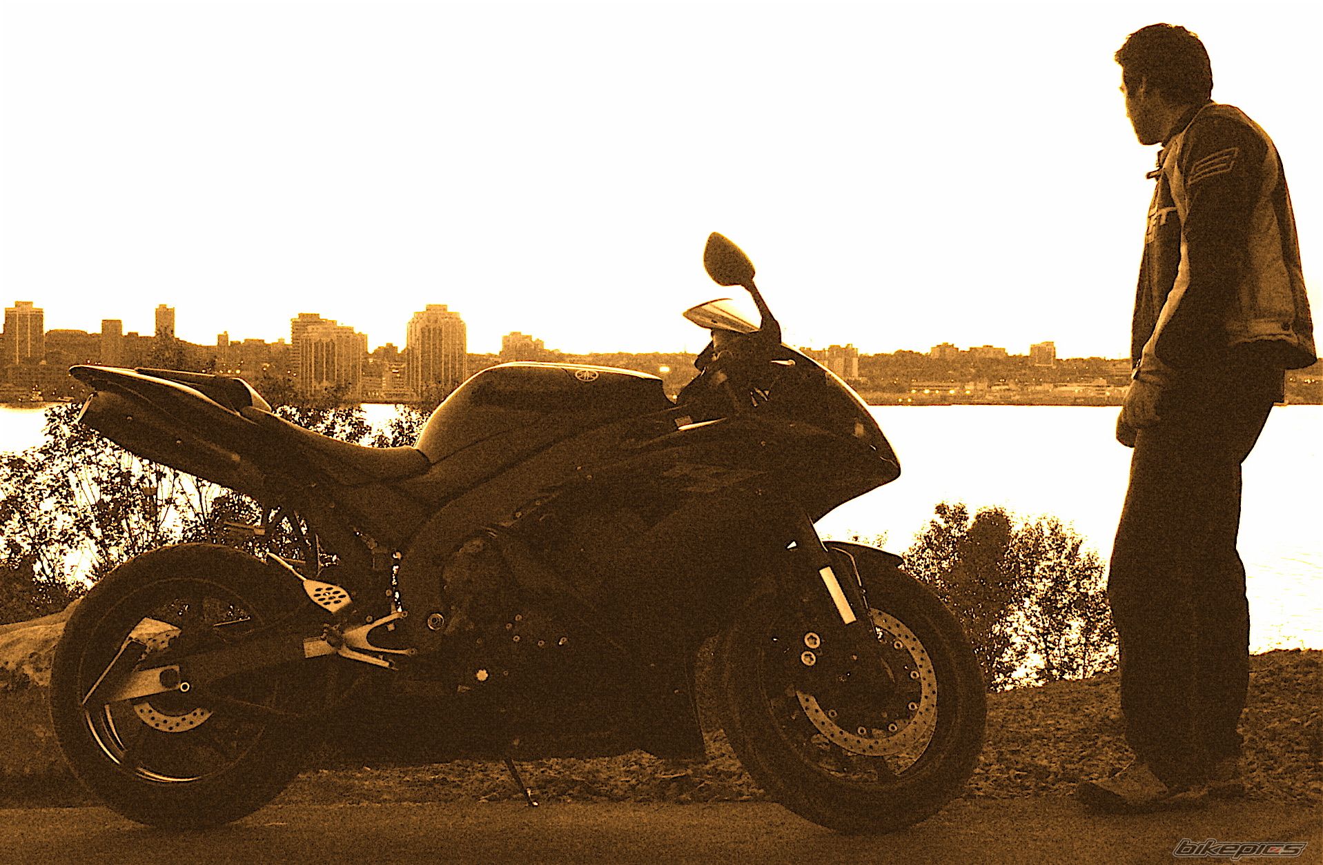 Photo 1313303