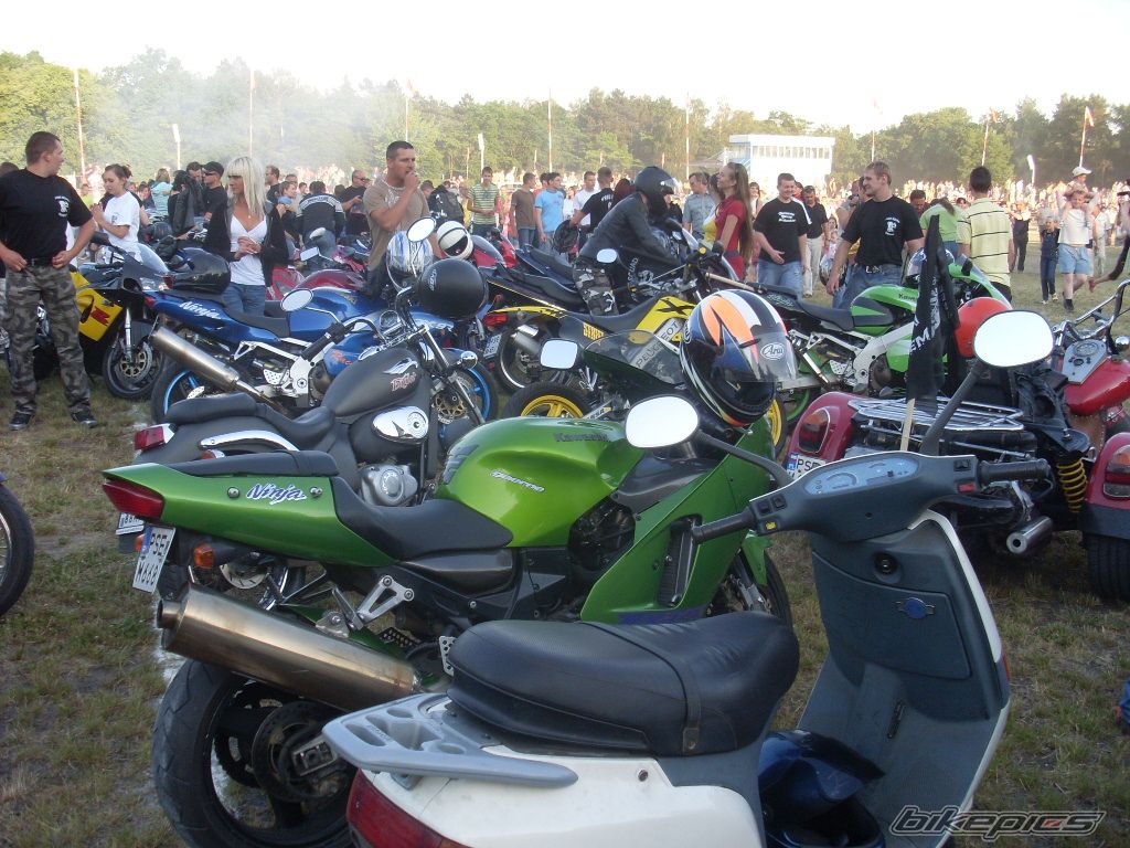 Photo 1313395