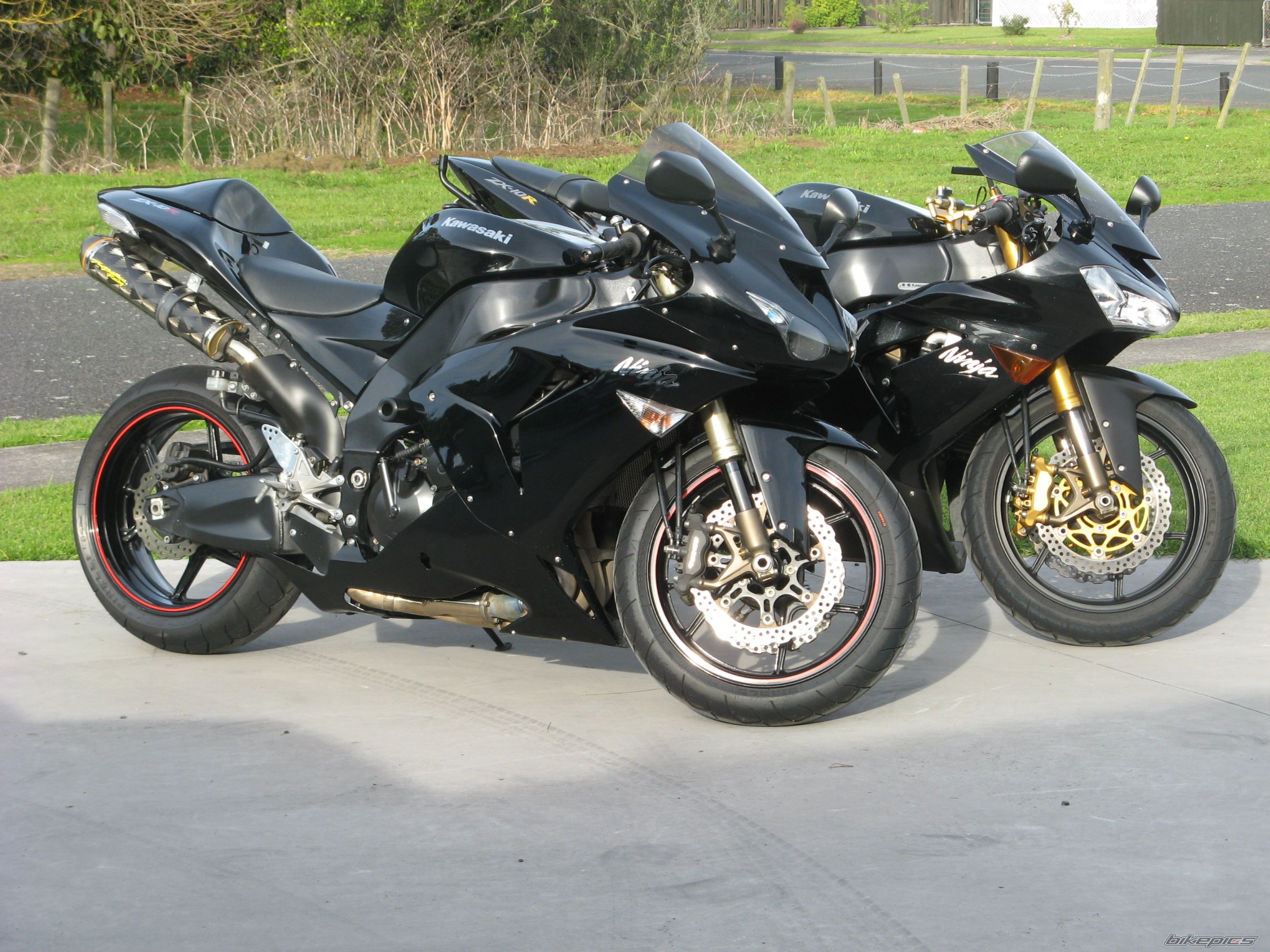Photo 1313422