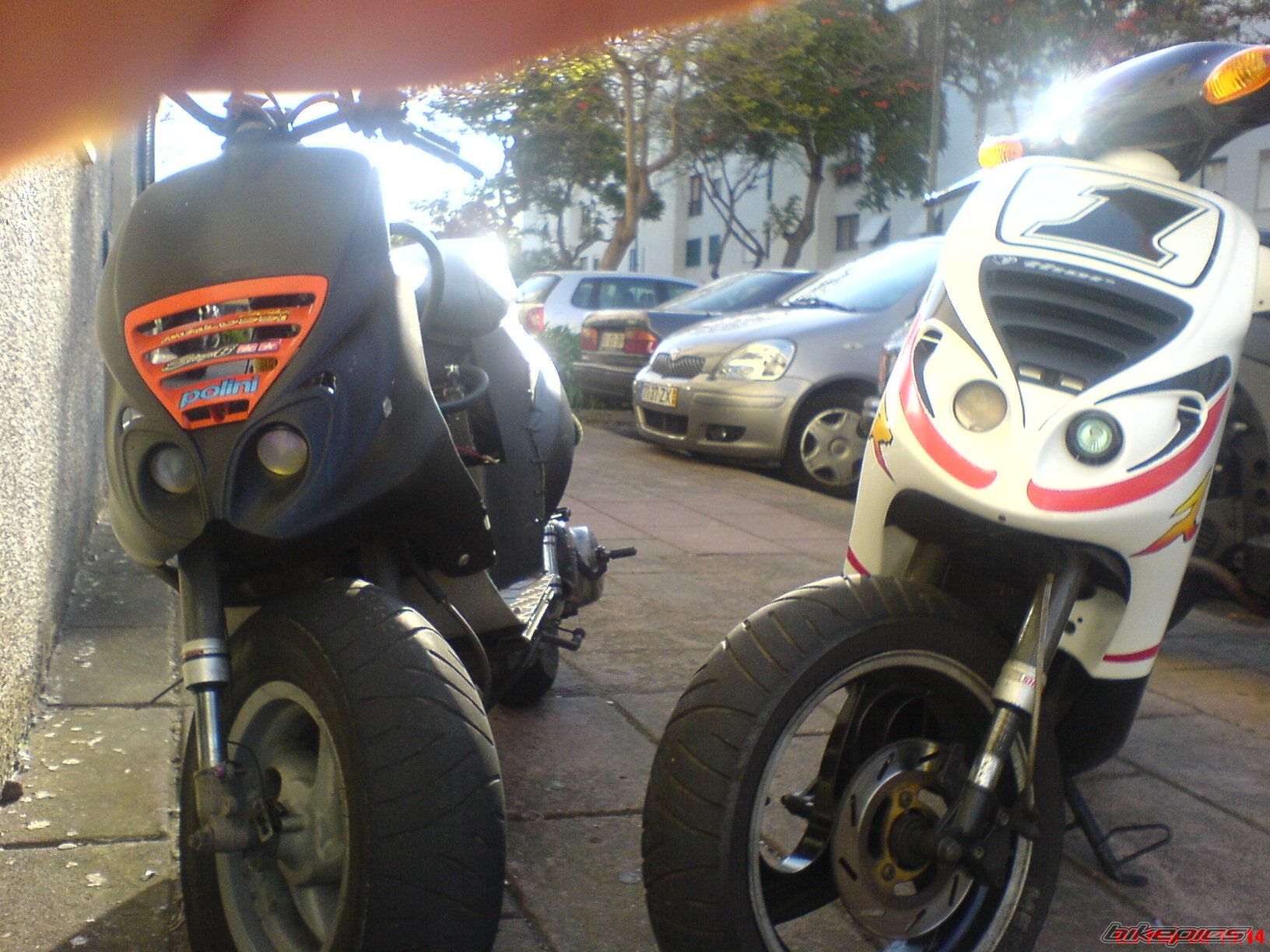 Photo 1313430