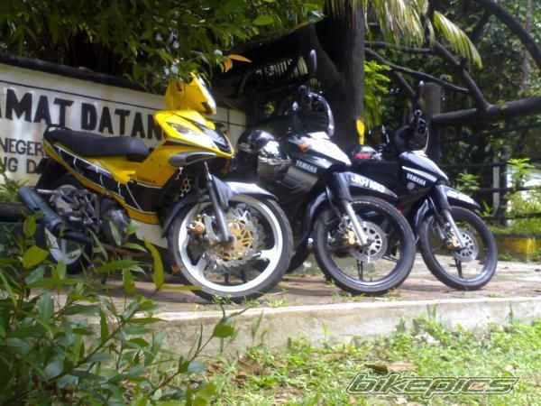 Photo 1313537