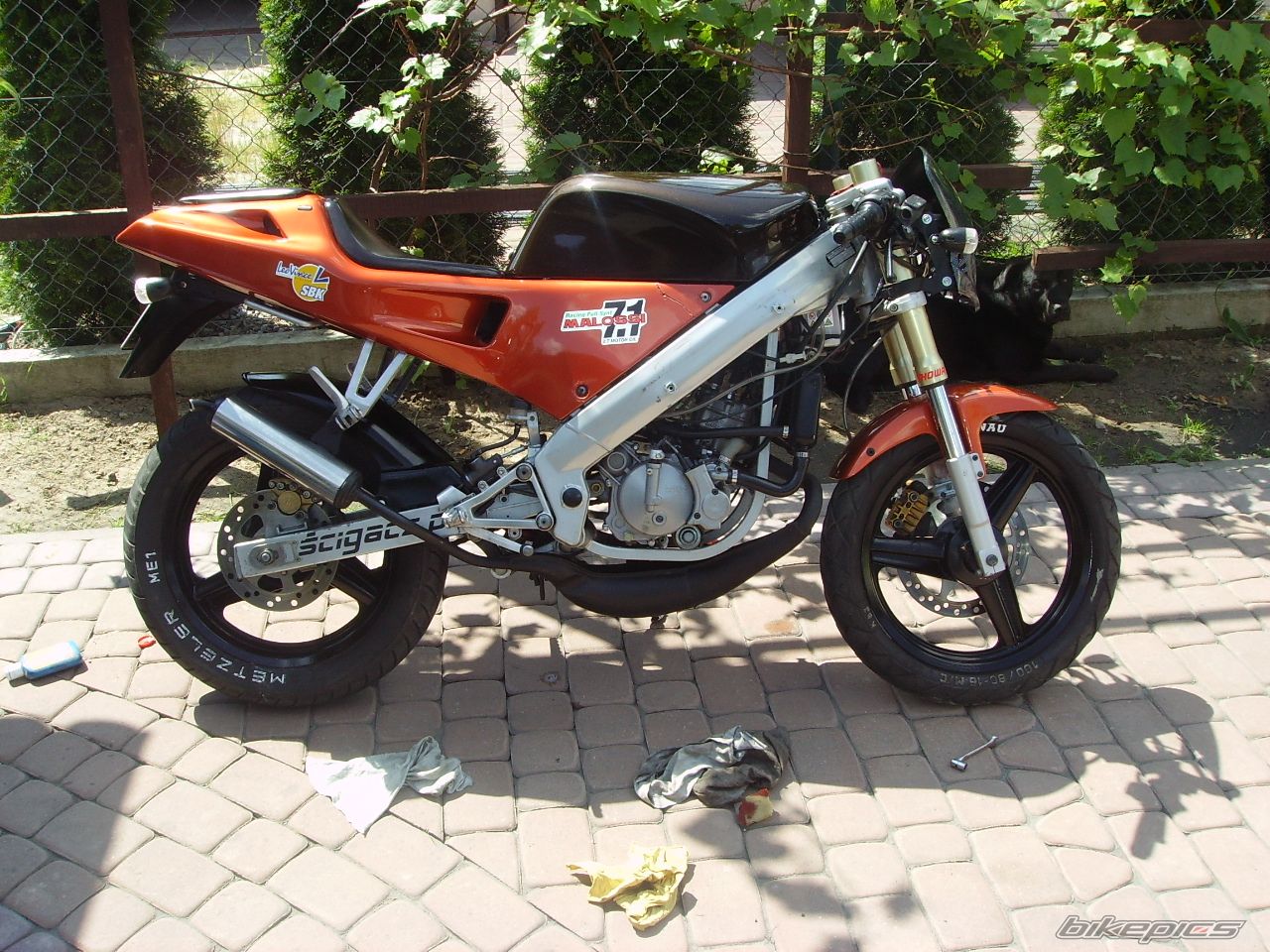Photo 1313569