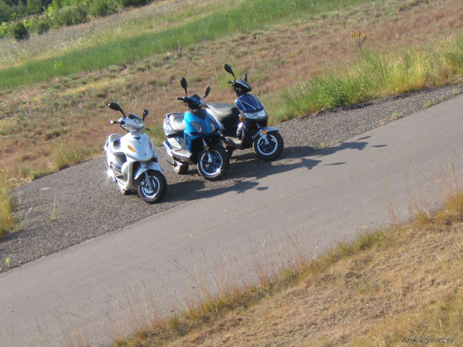 Photo 1313725