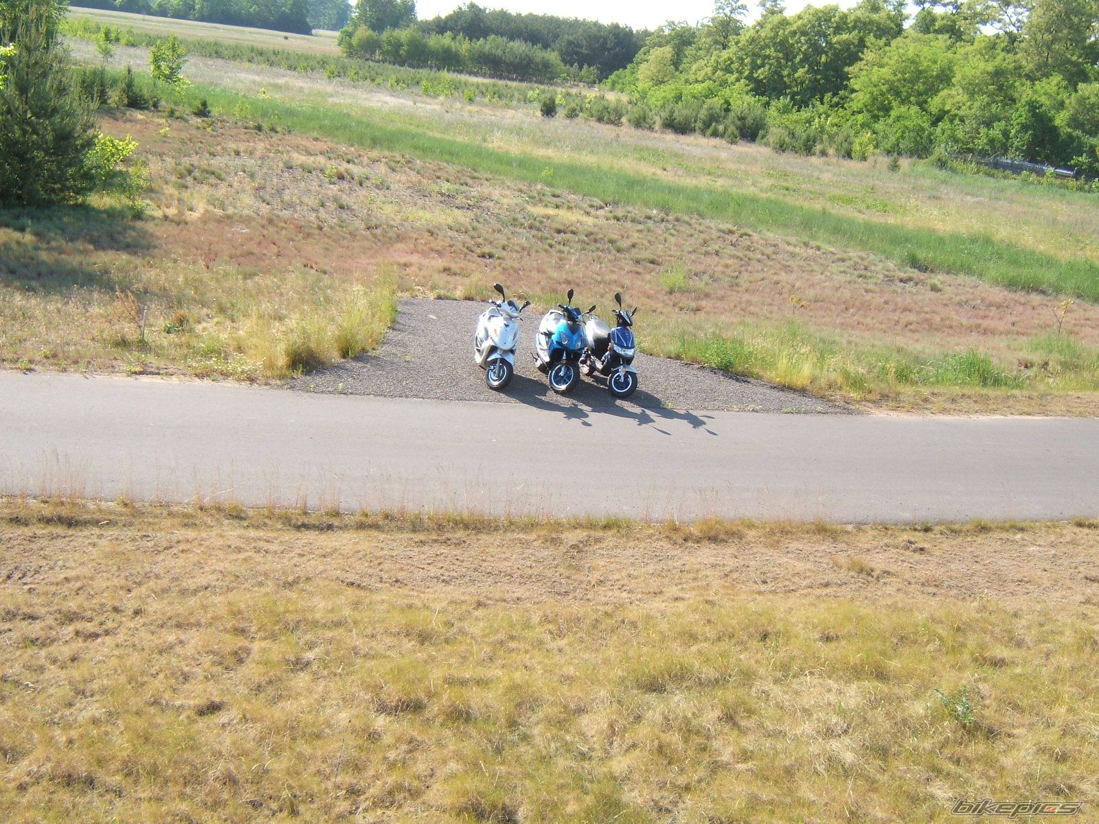 Photo 1313726