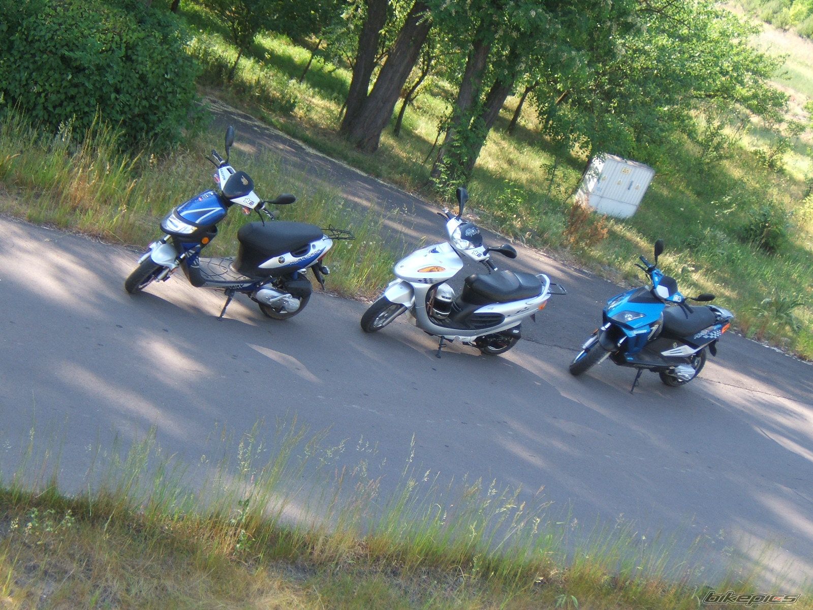 Photo 1313729