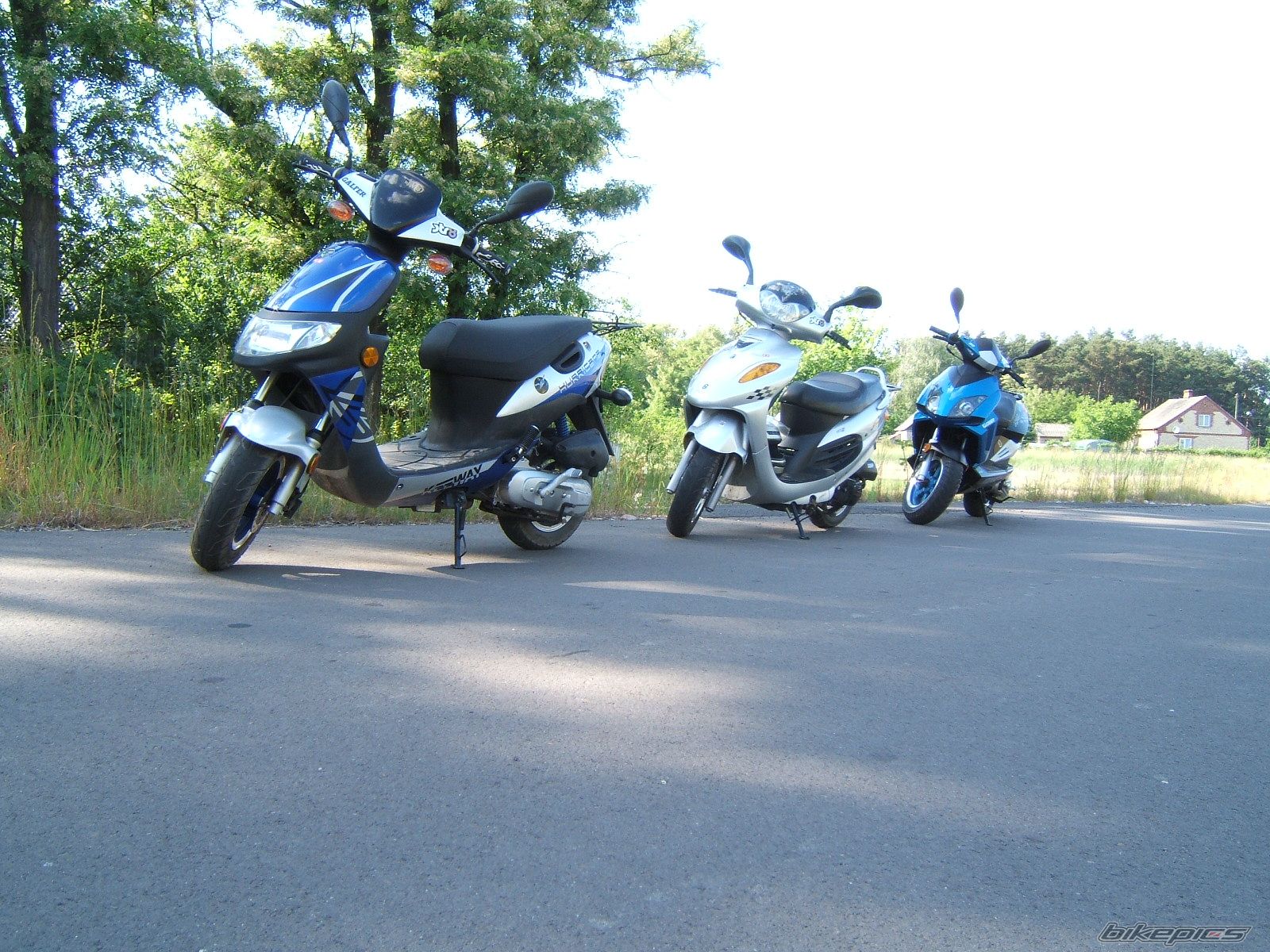 Photo 1313731