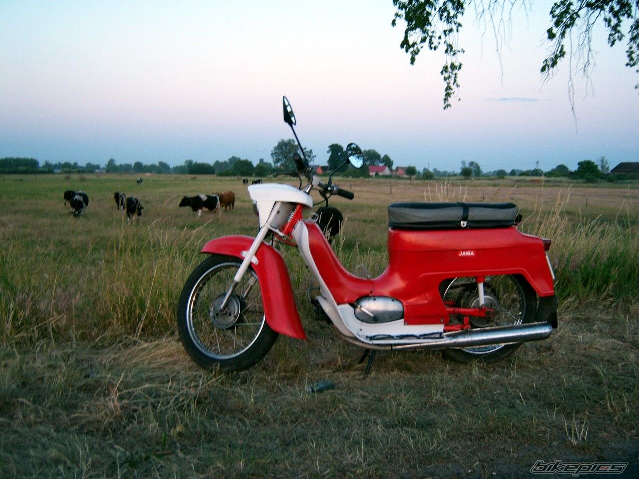 Photo 1313736