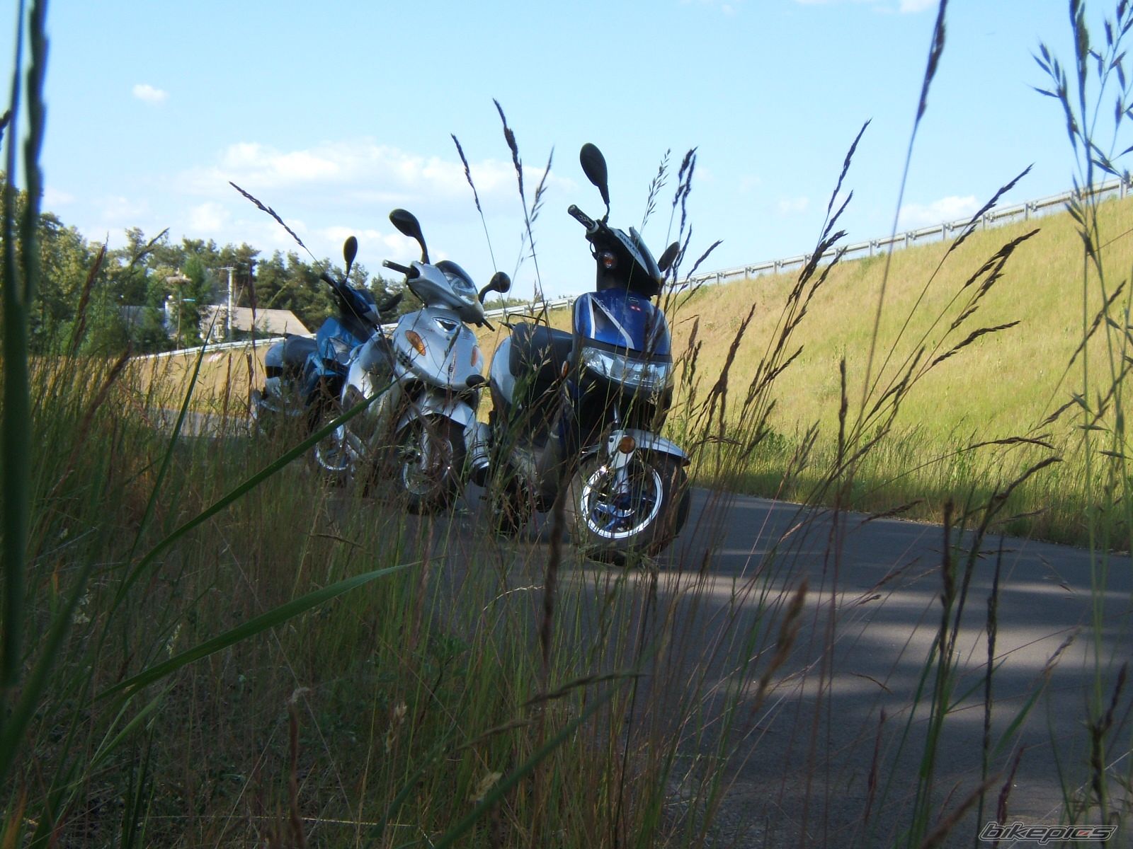 Photo 1313737