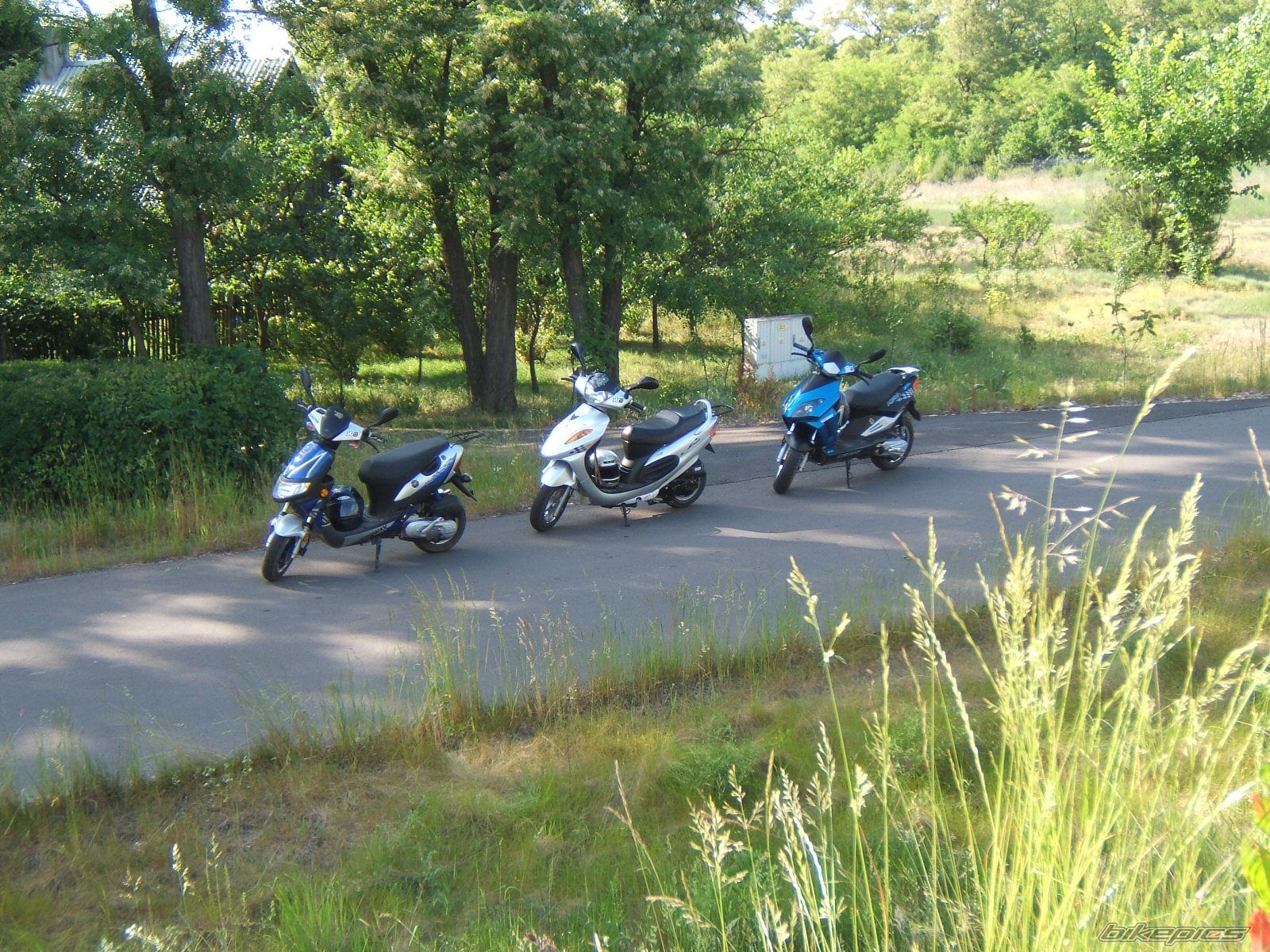 Photo 1313748