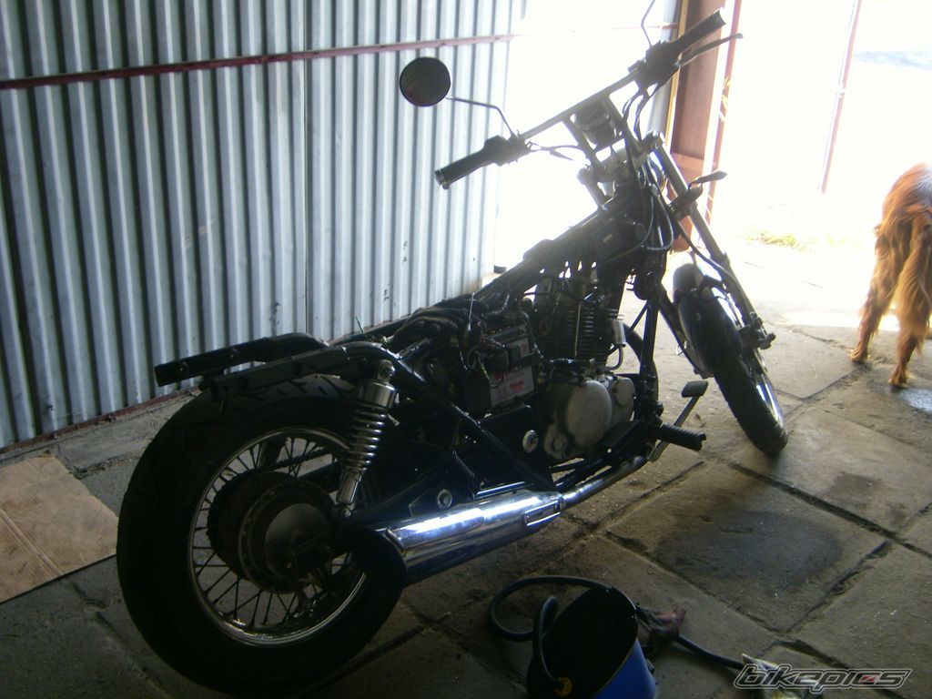 Photo 1313754