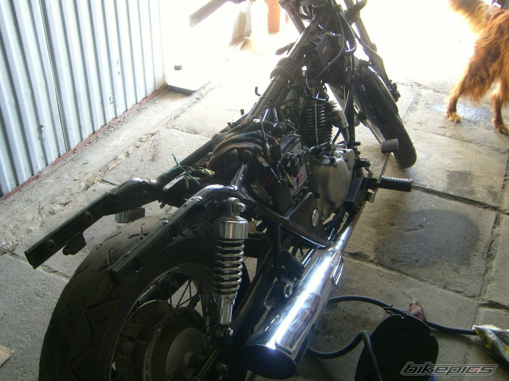 Photo 1313755