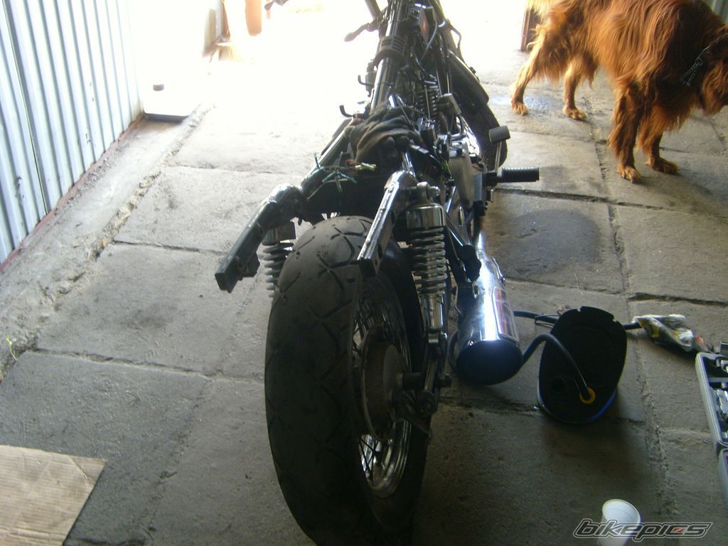 Photo 1313756