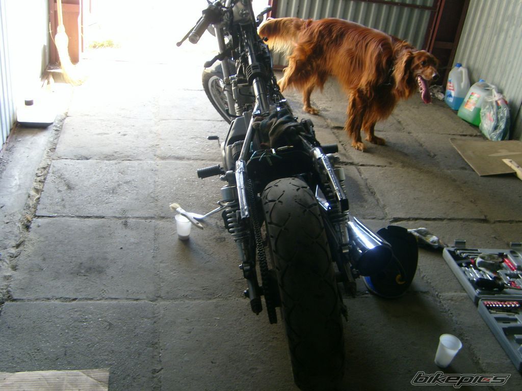 Photo 1313758