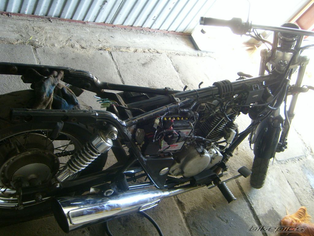 Photo 1313762