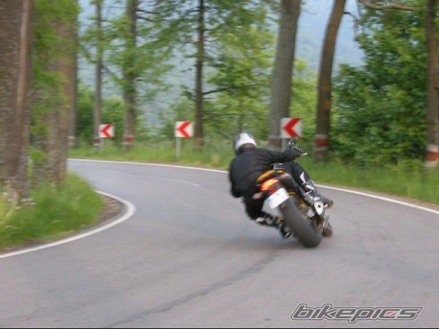 Photo 1313775