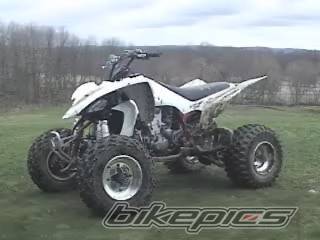 Photo 131381