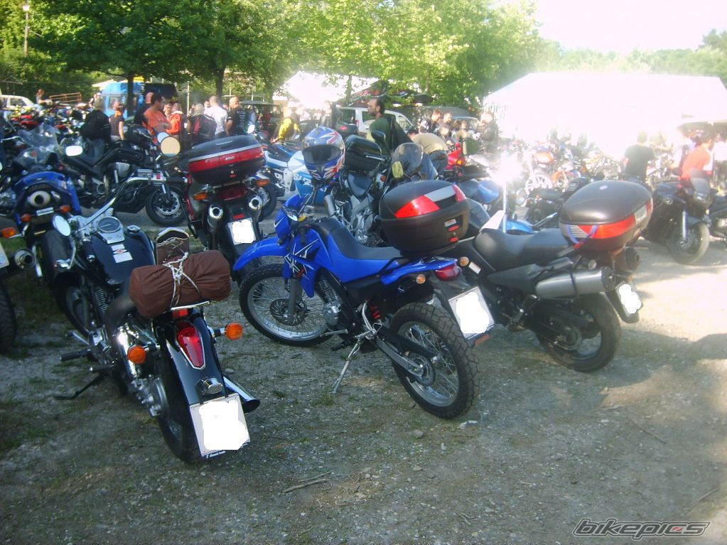Photo 1313820