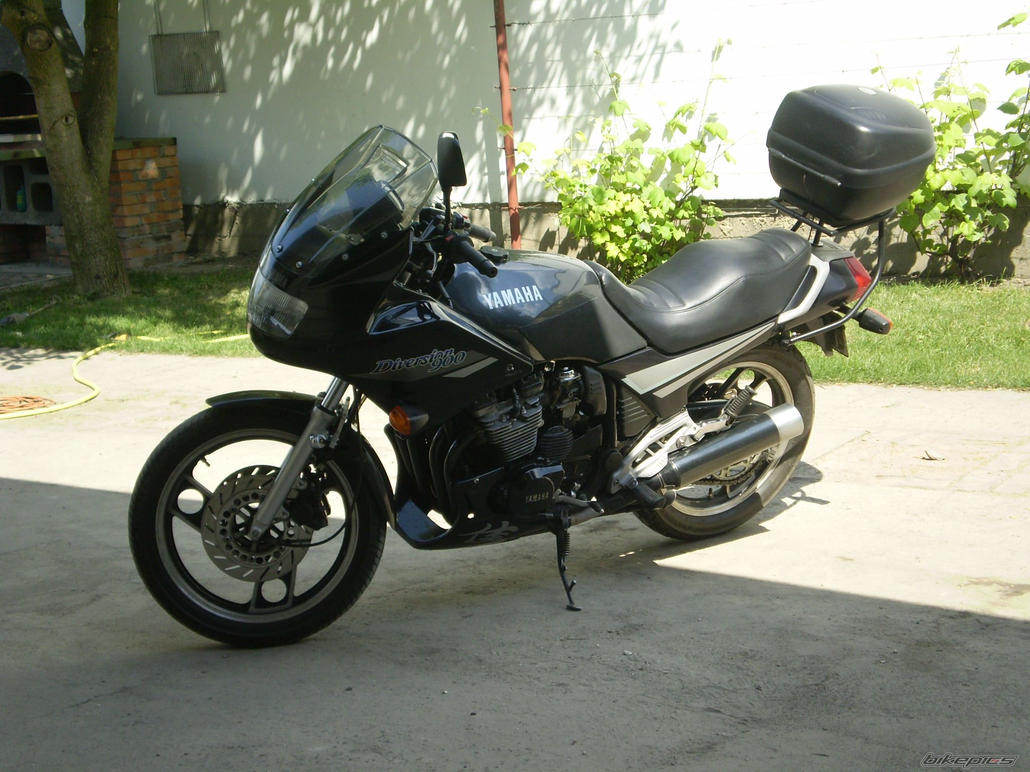 Photo 1313838