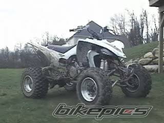 Photo 131384