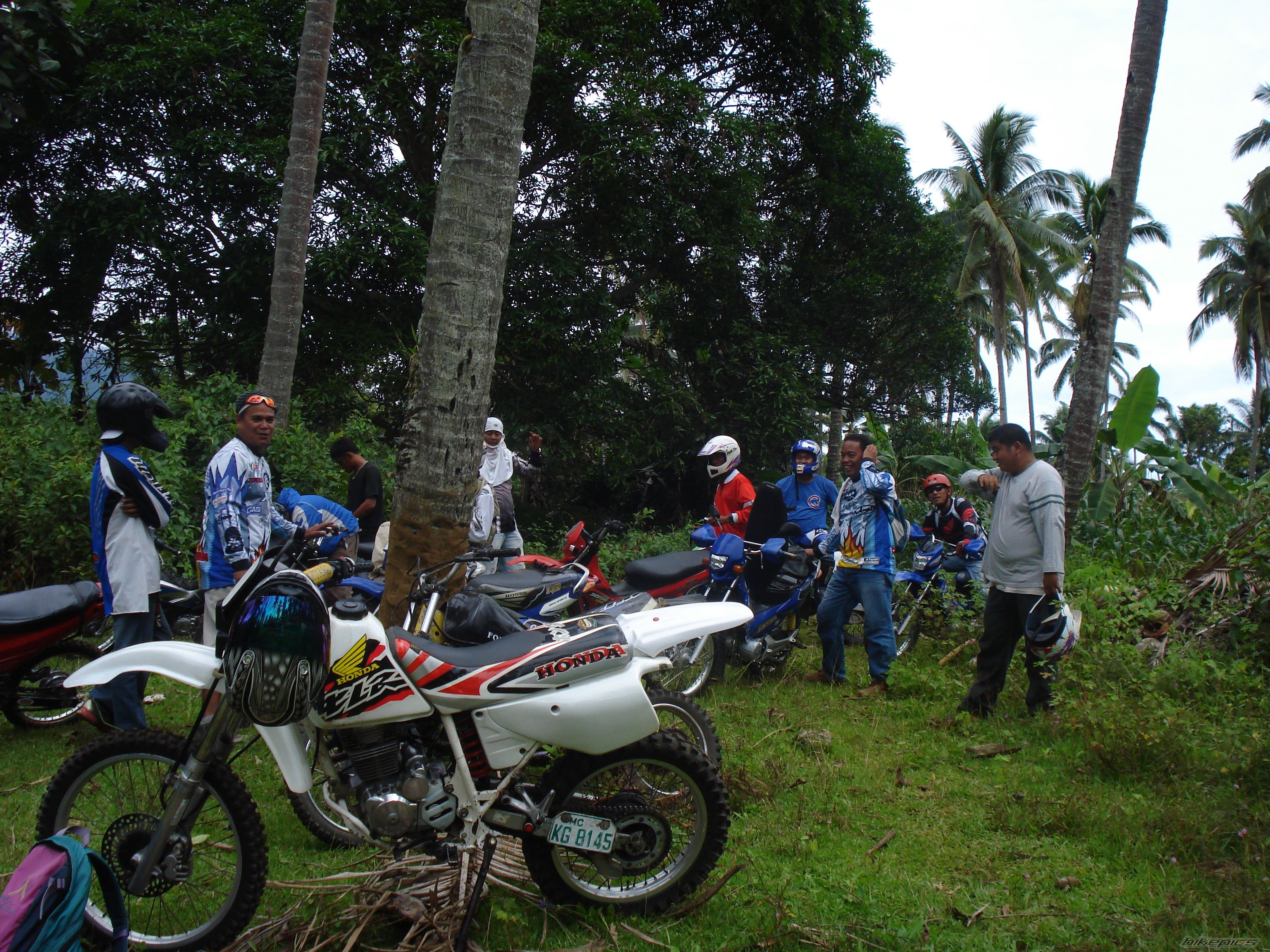 Bike Photo 1313904