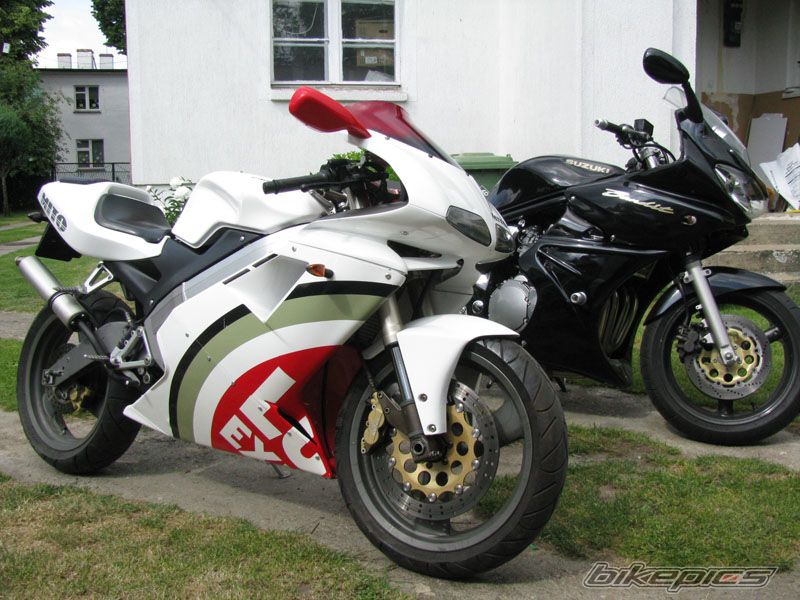Photo 1313942