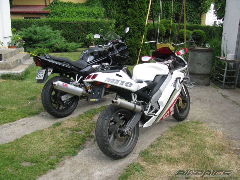 Photo 1313943