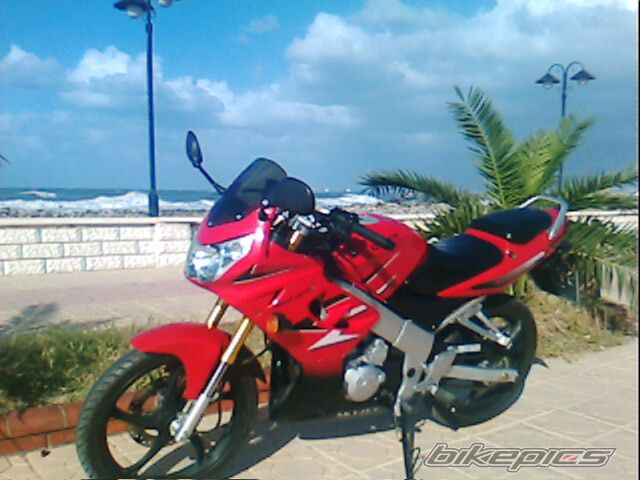 Photo 1313953