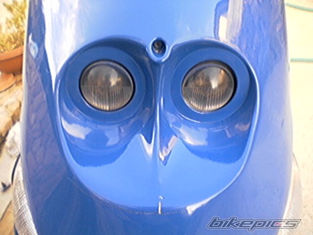 Photo 1313981
