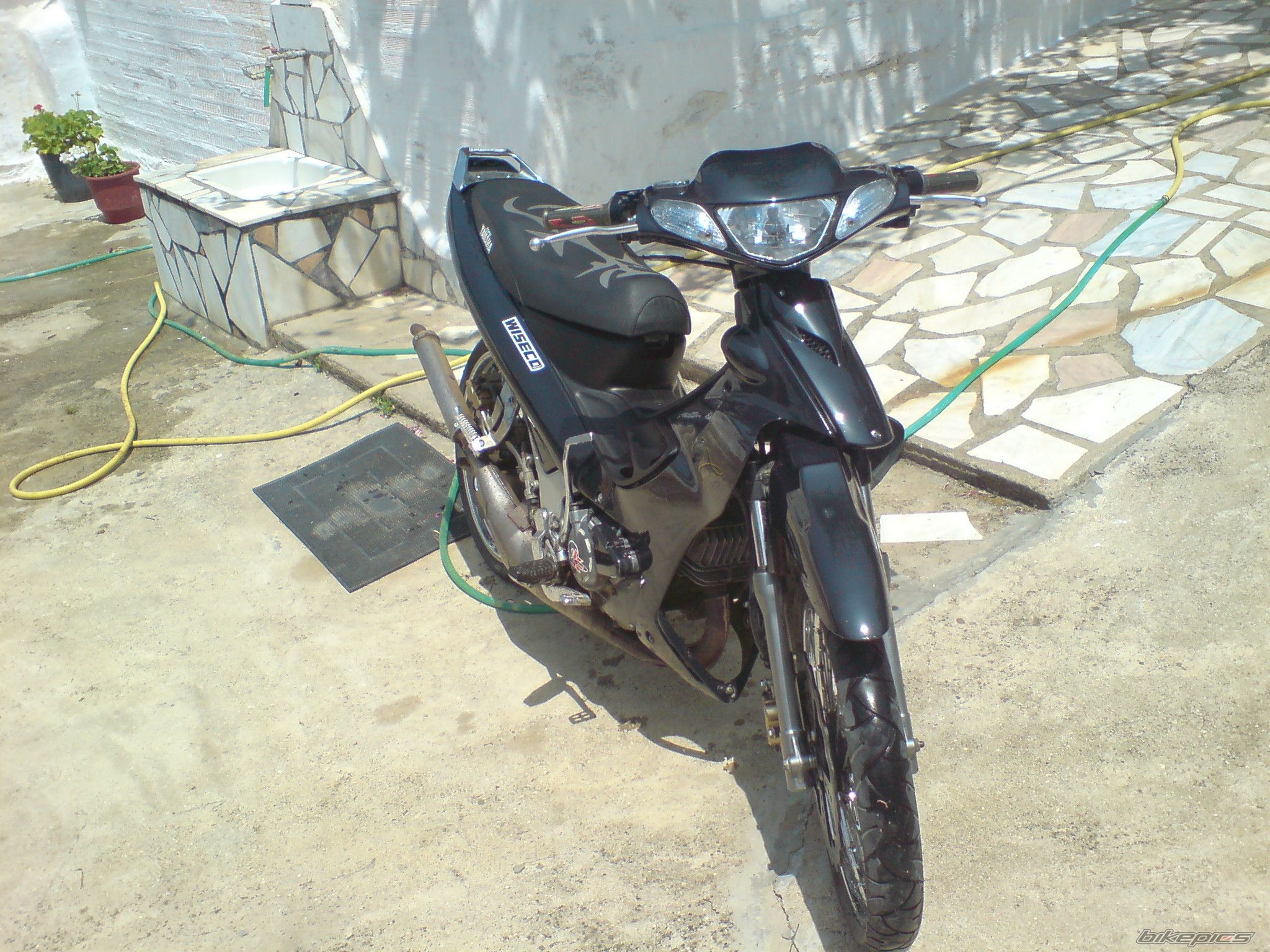 Photo 1313987