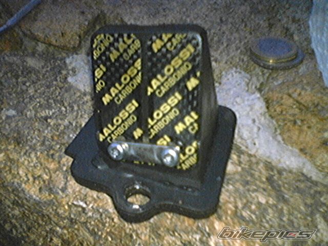 Photo 1314005