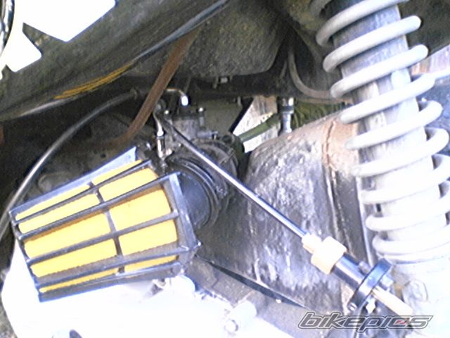 Photo 1314073