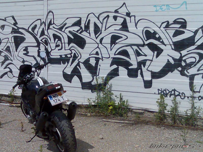 Photo 1314250