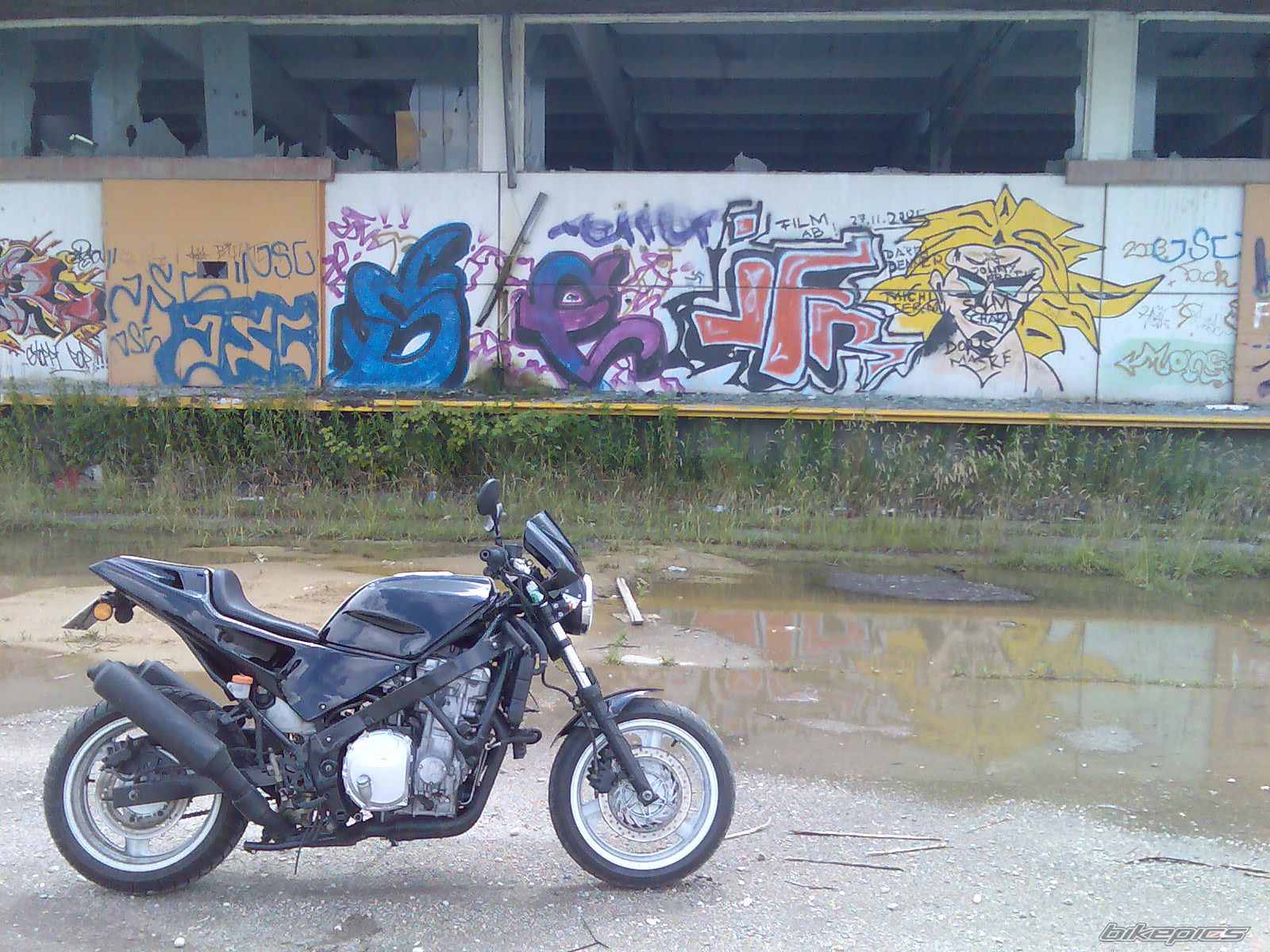 Photo 1314252