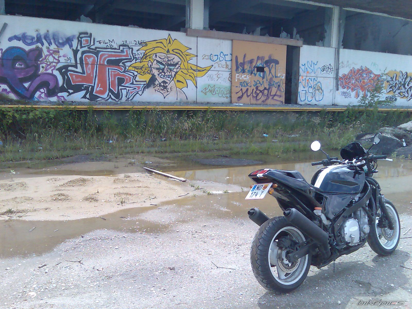 Photo 1314254