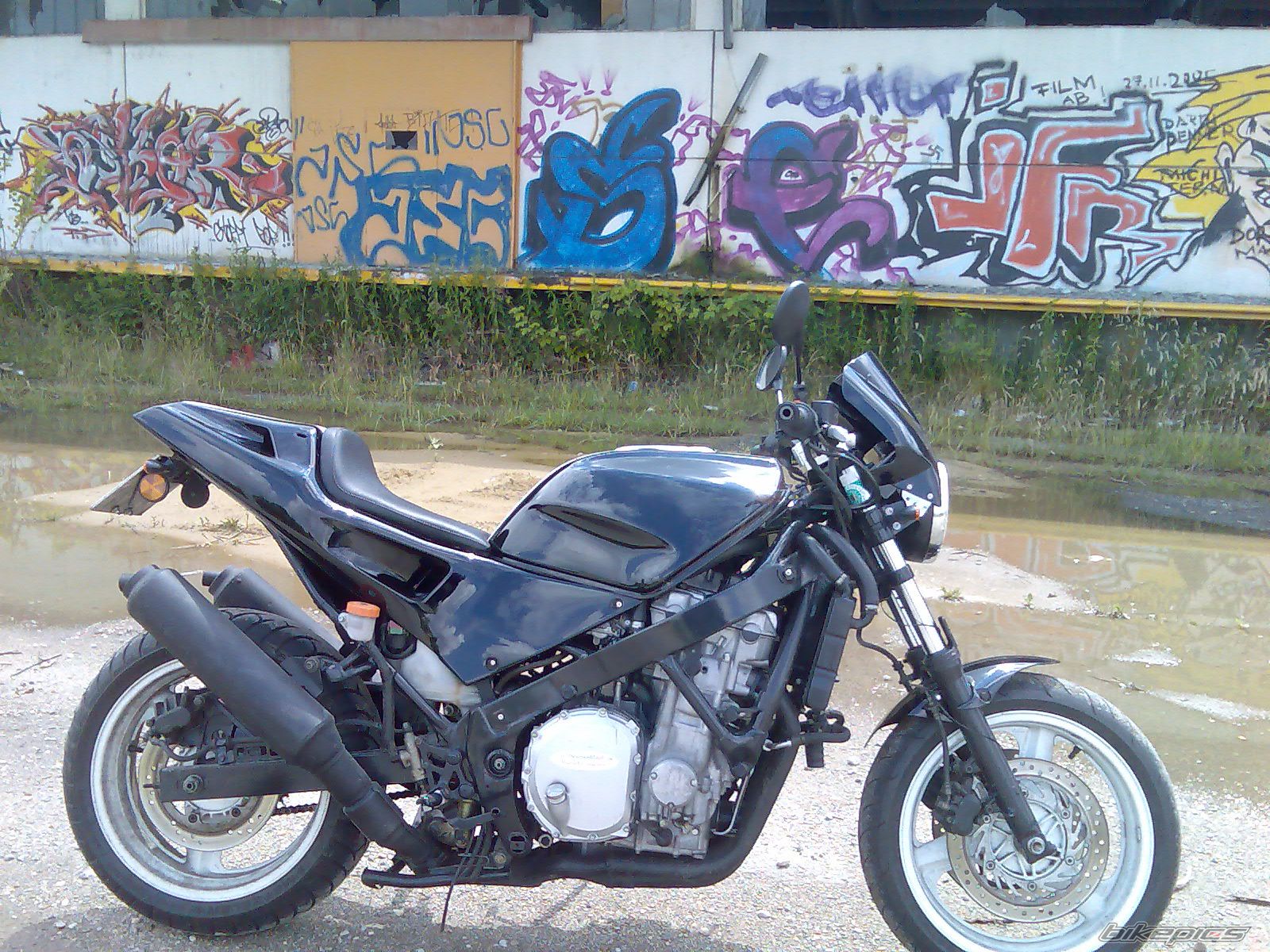 Photo 1314256