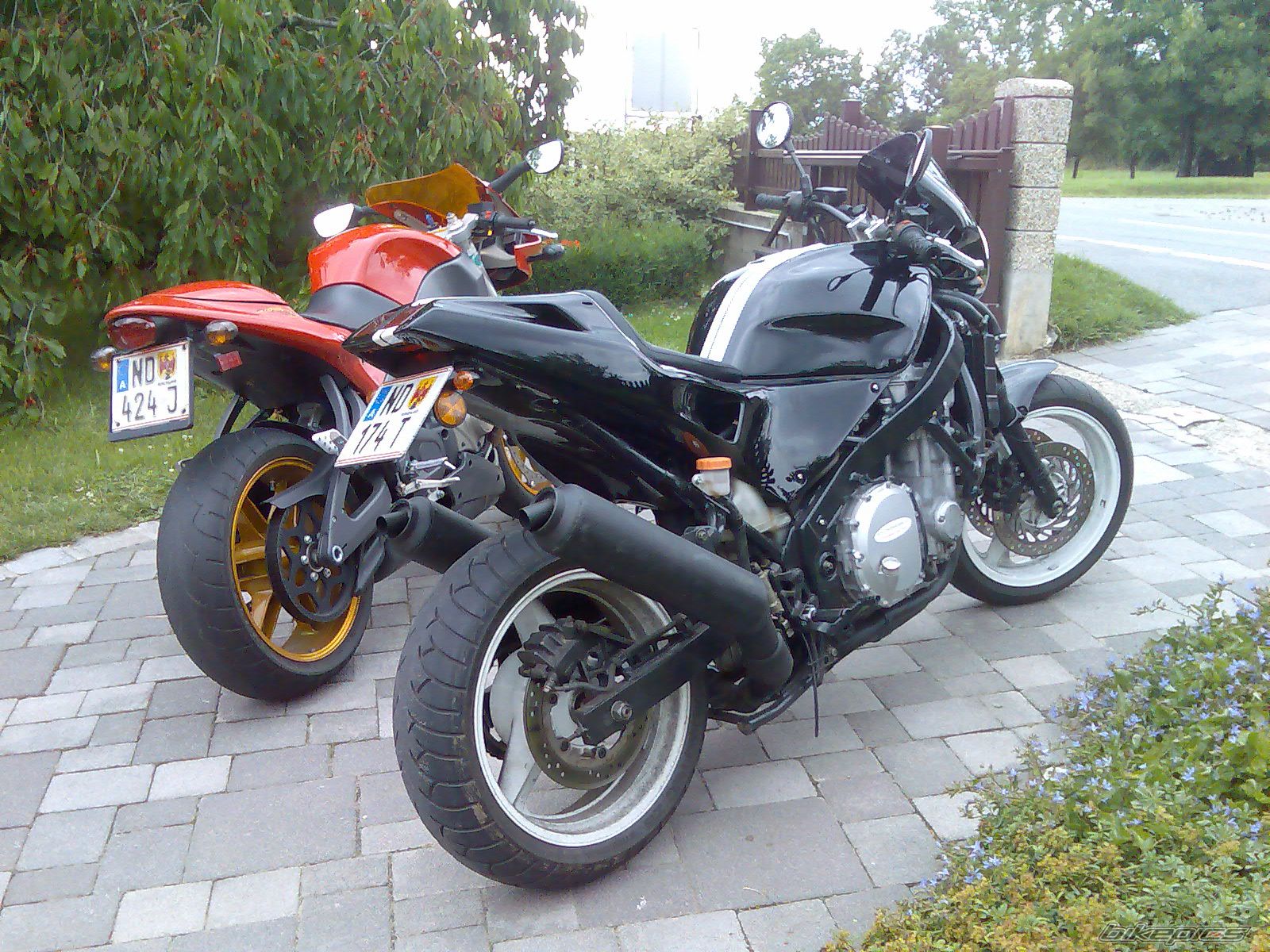 Photo 1314268