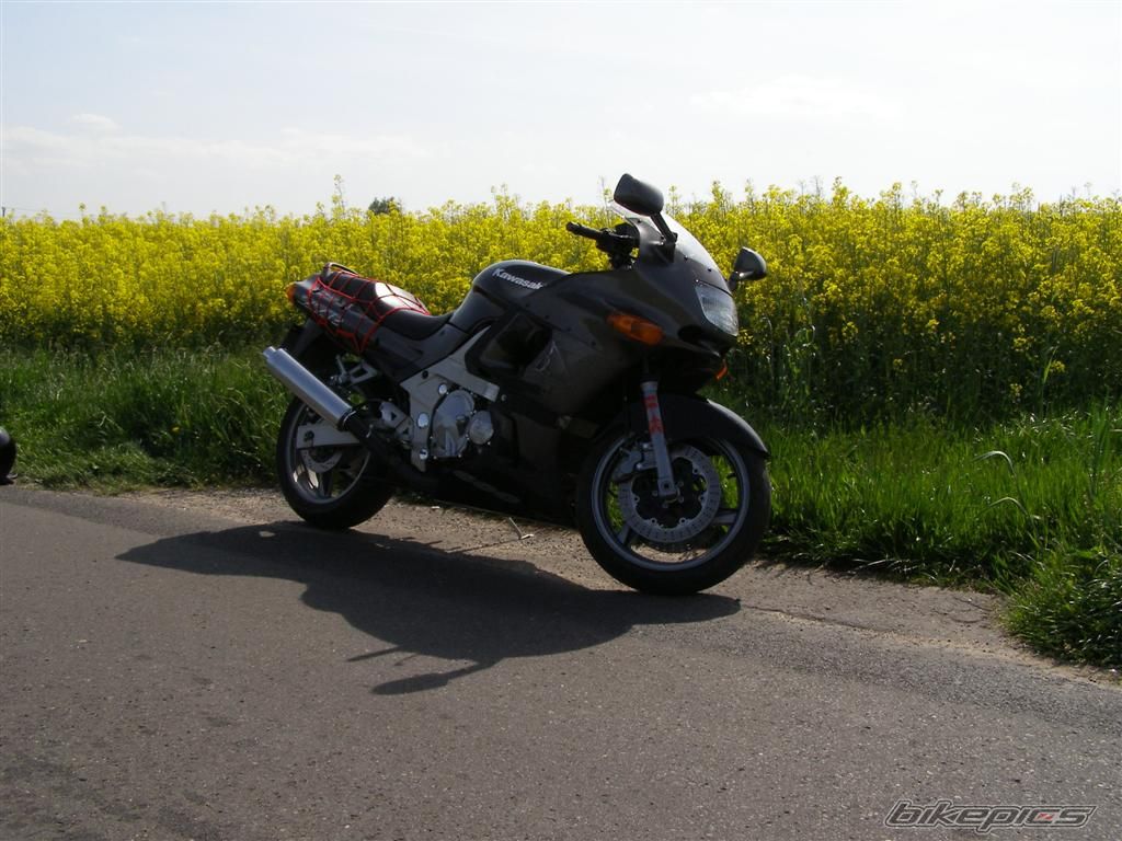 Photo 1314275