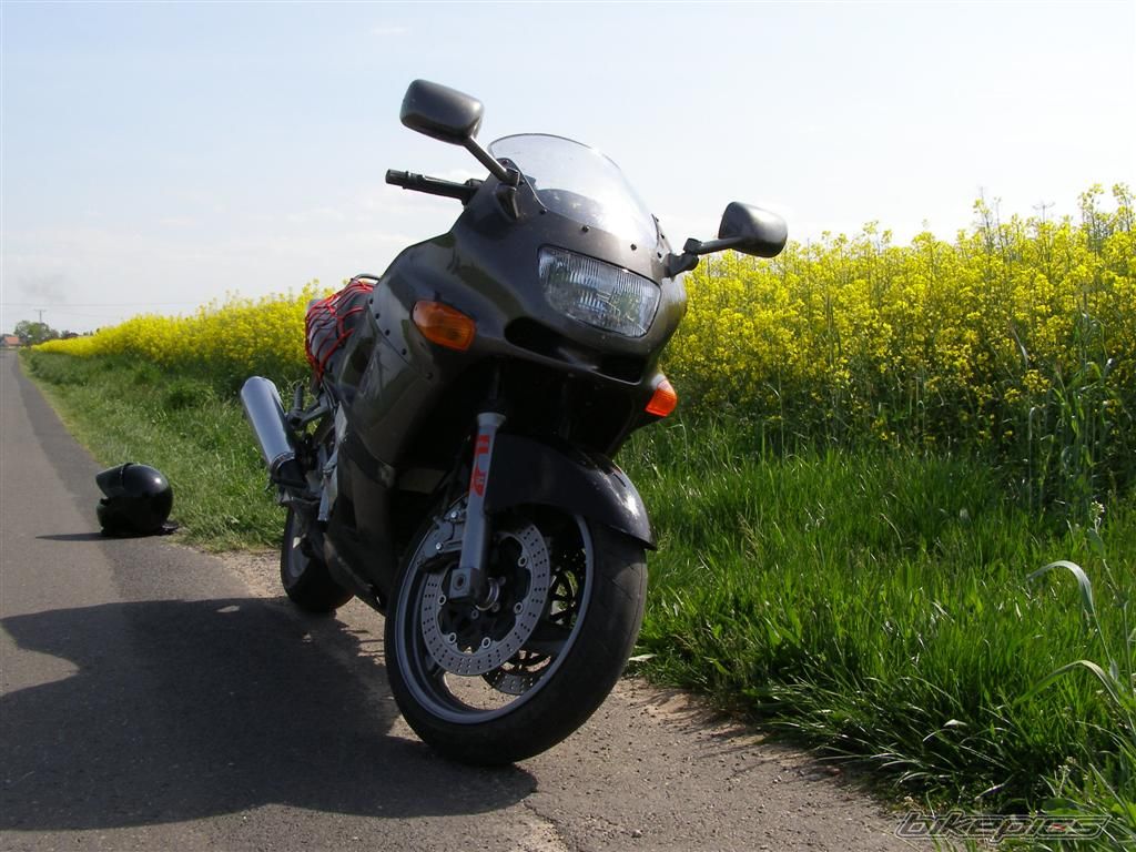 Photo 1314276