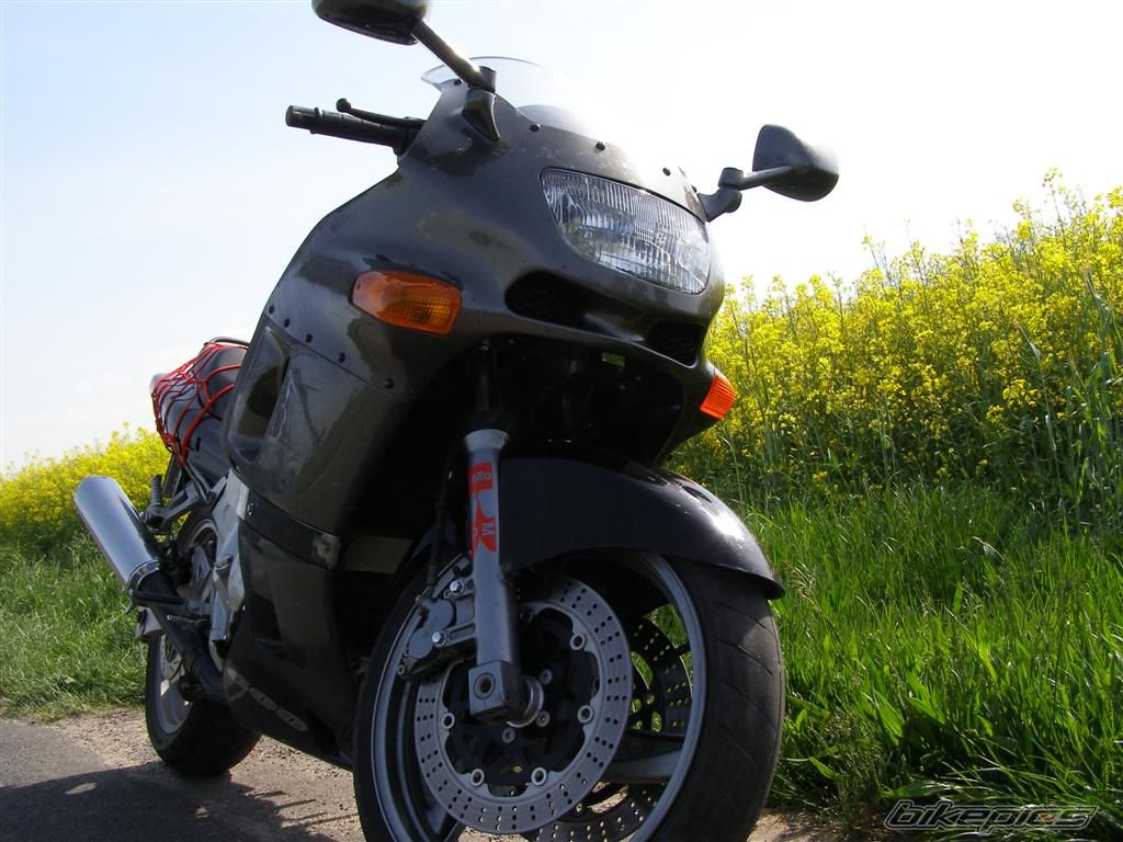 Photo 1314277