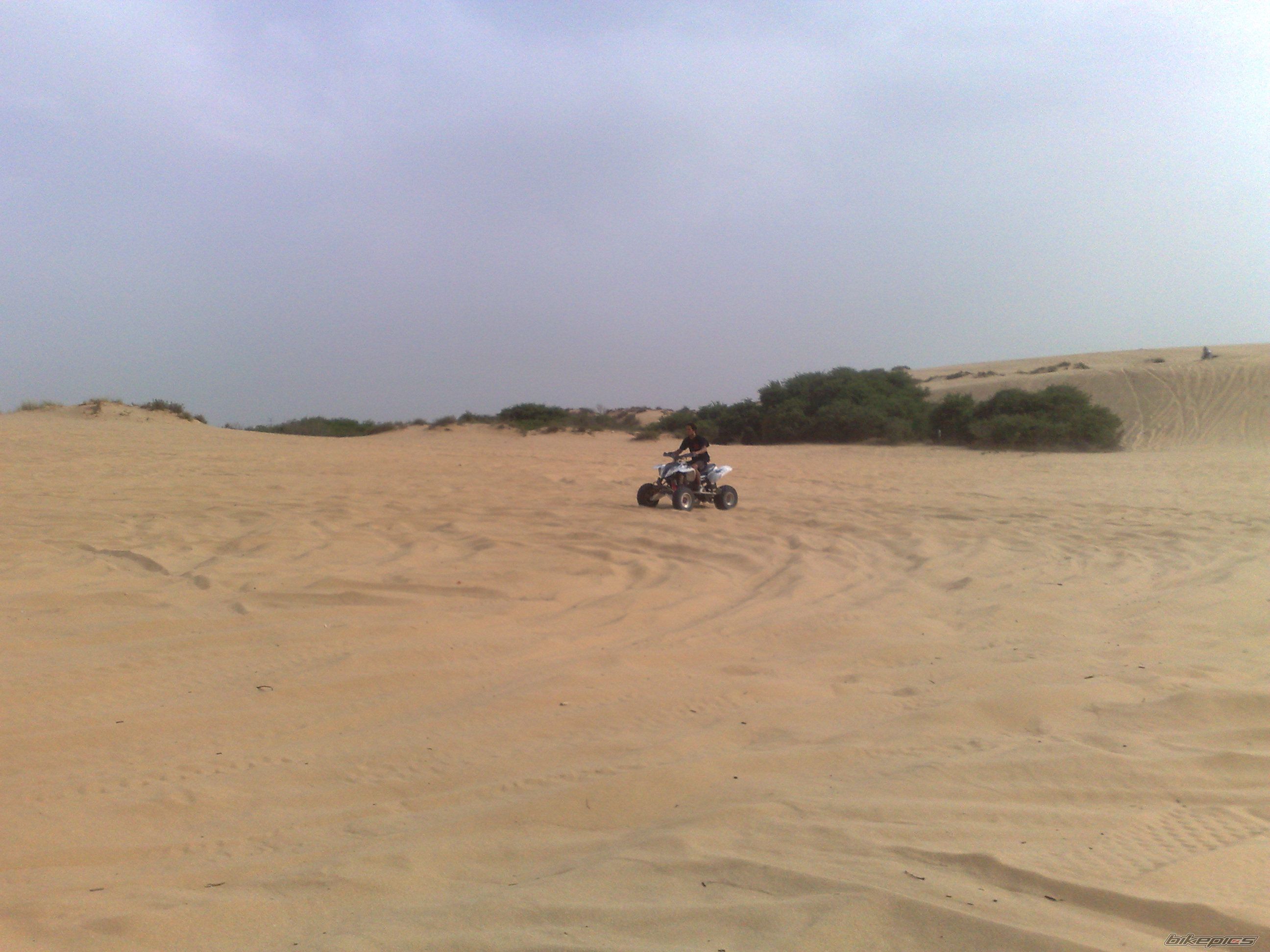 Photo 1314392