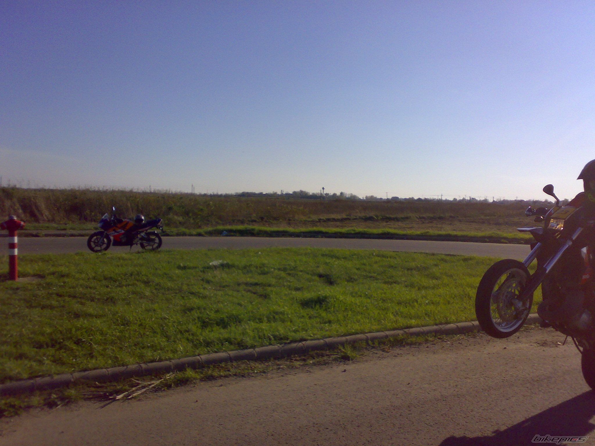 Photo 1314481