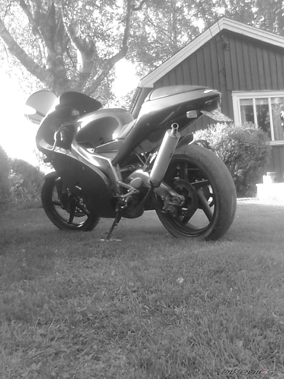 Photo 1314558