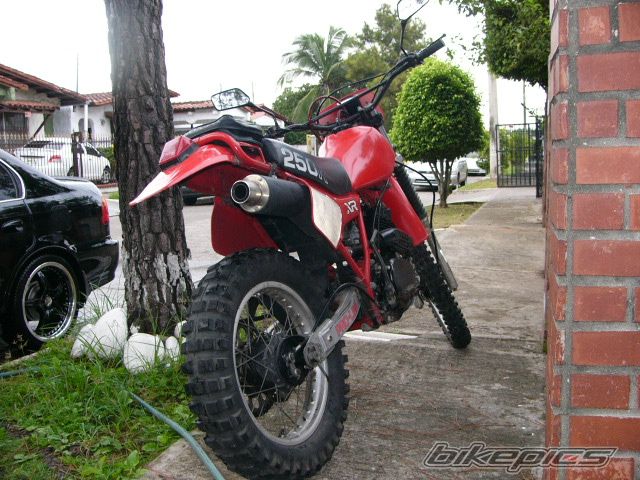 Photo 1314580