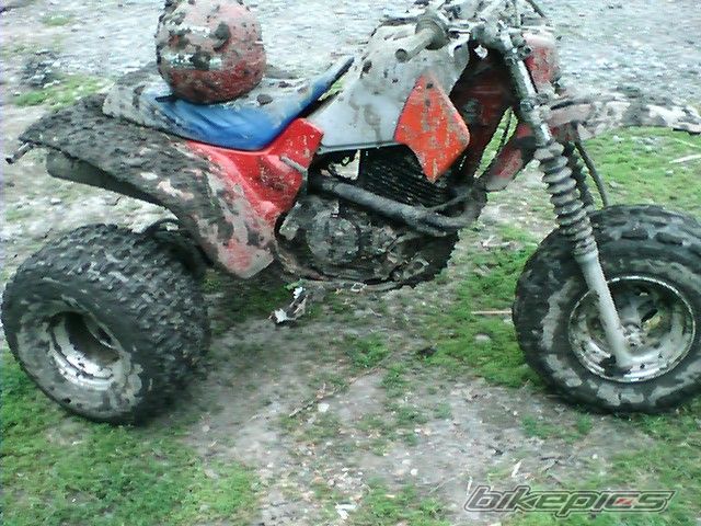 Photo 1314710